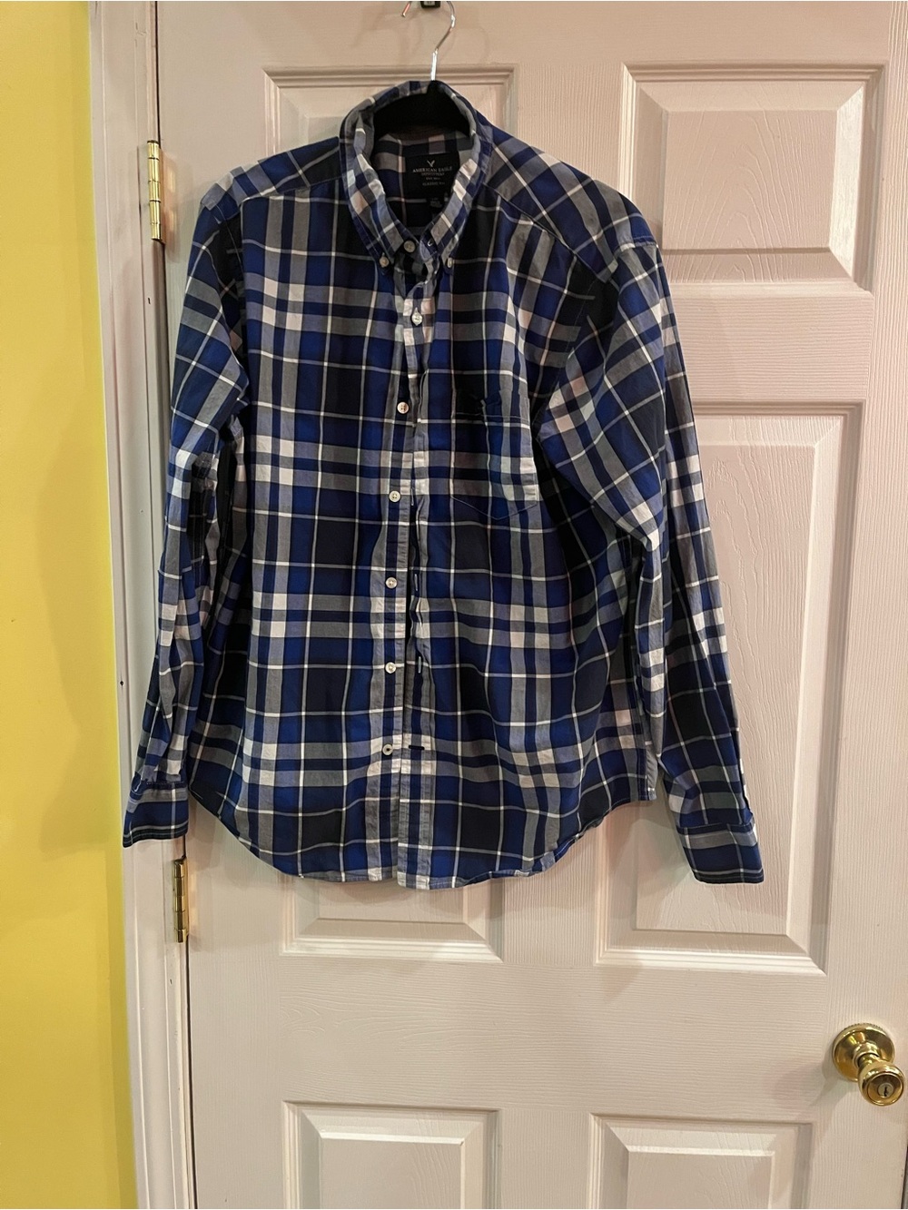 American Eagle Outfitters Blue and White Plaid Button-Down Shirt